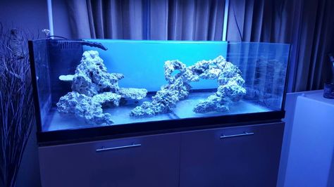 Click this image to show the full-size version. 100 Gallon Saltwater Aquarium, Aquascape Saltwater, Reef Tank Design, Reef Aquascaping, Reef Tank Aquascaping, Saltwater Aquarium Setup, Aquascaping Ideas, Aquarium Sump, Aquascape Ideas