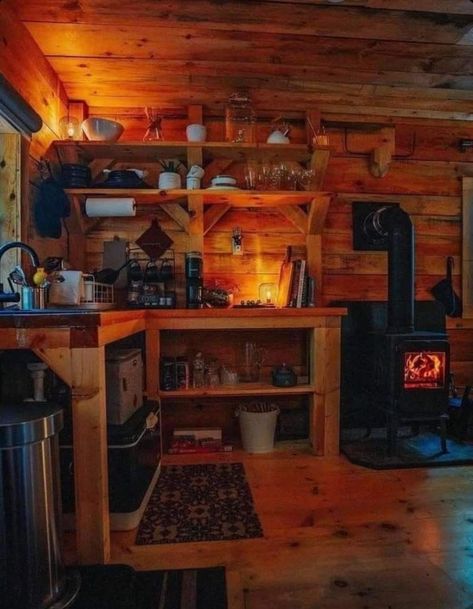 Off Grid Cabin Interior, Tiny Cabins Interiors, Hunting Shack, Alaska Cabin, Log Cabin Interior, Cabin Aesthetic, Small Log Cabin, Hunting Cabin, Cabin Interiors