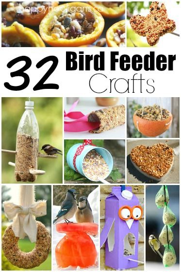 32 Easy Homemade Bird Feeders - Happy Hooligans Bird Feeder Crafts, Bird Feeders For Kids To Make, Bird Feeder Craft, Happy Hooligans, Easy Bird, Homemade Bird Feeders, Diy Bird Feeder, Diy Birds, Bird Crafts