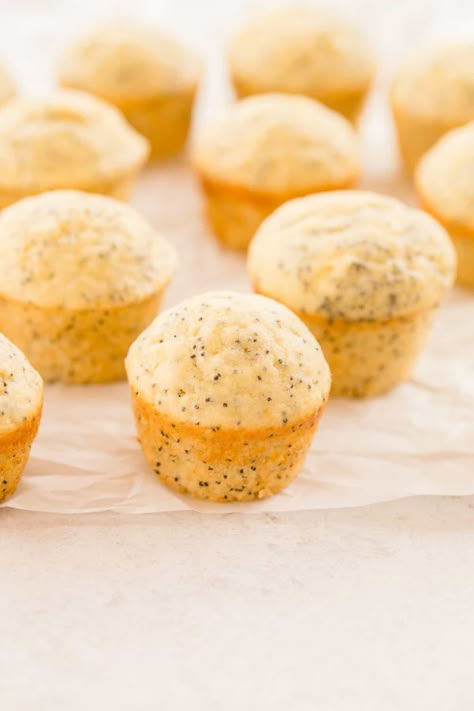 Lemon Poppyseed Mini Muffins, Mini Baked Goods Ideas, Popover Recipes, Almond Poppy Seed Muffins, Almond Poppyseed Muffins, Poppy Seed Loaf, Health Dessert Recipes, Seed Loaf, Mini Muffin Recipe