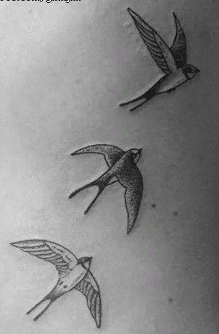 Bird Symbol Tattoo, Tattoo Golondrina, Retro Bird Tattoo, Simple Flying Bird Tattoo, Swift Bird Drawing, Swift Tattoo Birds, Swift Bird, Bird Tattoos For Women, Bird Tattoos