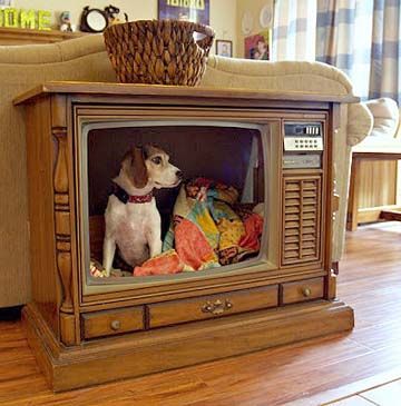 DIY Dog bed made from an old TV Lhasa, Old Tv Consoles, Indoor Dog House, Dog Crates, Dog House Diy, Diy Dog Bed, Indoor Dog, Lhasa Apso, Two Dogs