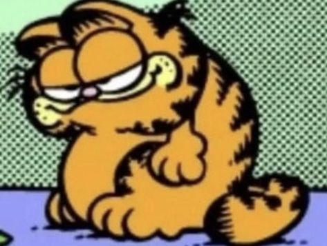 Fat Orange Cat, Garfield Pictures, Garfield Images, Funny Orange, Garfield Cat, I Hate Mondays, Old Cartoons, Orange Cat, Silly Cats