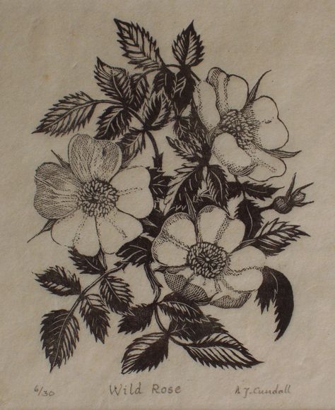 Lithography Flowers, Wild Rose Tattoo, Engraving Tattoo, Witch Tattoo, Botanical Tattoo, Rose Drawing, Roses Drawing, Best Sleeve Tattoos, Nature Tattoos