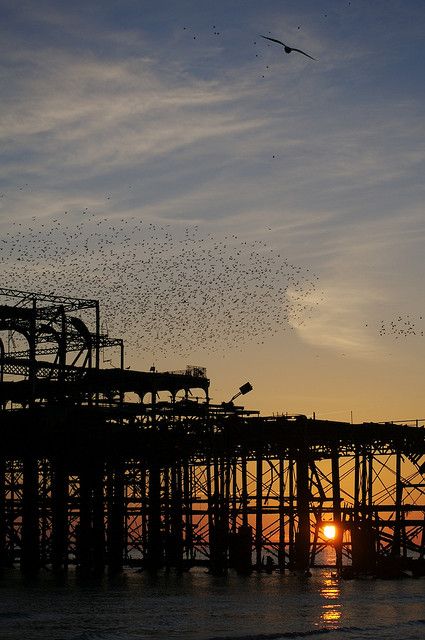 Brighton's West Pier. Brighton, England. Brighton counts with two piers, the modern one: Brighton Marine & Palace Pier, from 1891. And the West Pier, from 1866 which was closed in 1975 and has slowly become the 'enigmatic' carcass above. If one approaches Brighton by car or coach through the west side of the coast the view of this dead pier is one of the first long-lasting impressions one gets from the city. Brighton Sussex, Brighton & Hove, Brighton Rock, Brighton England, Brighton Uk, British Seaside, Brighton Beach, Brighton And Hove, Weekend Breaks