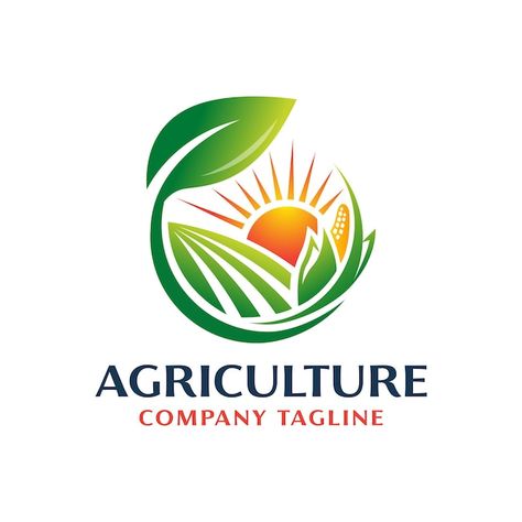 Premium Vector | Agriculture logo design for mascot and icon Logo Rice, Agriculture Logo Design, Farm Logo Design, Agriculture Logo, Fresh Logo, Simple Notebook, Eco Logo, Notebook Cover Design, Art Pics