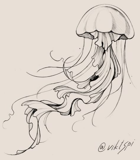 Medusa Pencil Drawing, Drawing Of A Jellyfish, Jelly Fish Tattoo Stencil, Medusa Animal Tattoo, Medusa Tattoo Animal, Jelly Fish Drawing Sketches, Jellyfish Line Art, Jellyfish Reference, Jellyfish Art Drawing