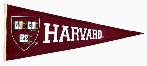 Harvard pennant Harvard University Aesthetic, Harvard Logo, Rebecca Bunch, Donna Paulsen, University Aesthetic, Aesthetic Logo, Crazy Ex Girlfriends, Harvard Law, Harvard Law School