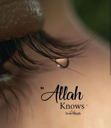 Beautiful Islamic Dp, Allah Knows, Islamic Dp, Dp Photos, Dp Images, Profile Pics, Be Kind