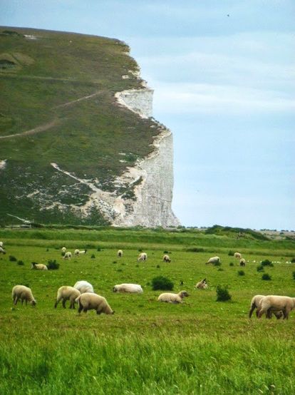 Britain Landscape, Natural Views, England Top, Irish Countryside, Sussex England, Breathtaking Places, England And Scotland, Jolie Photo, English Countryside