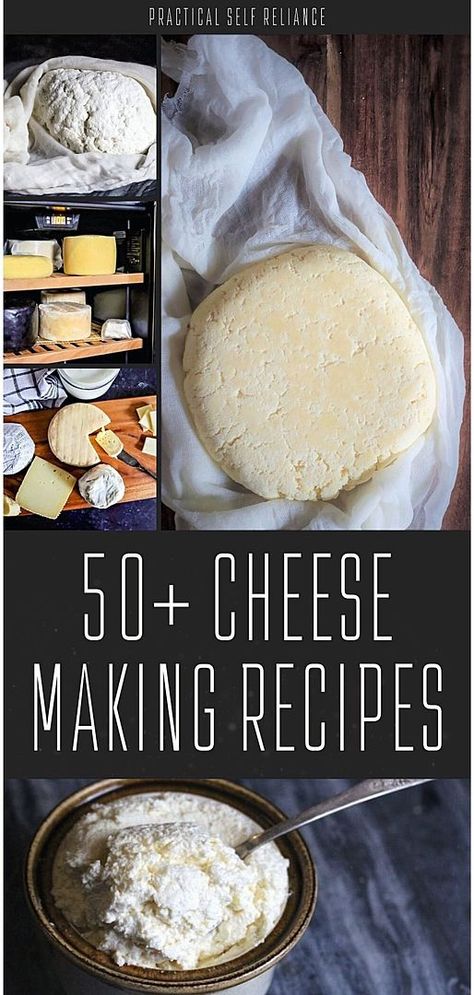 Enhance your homesteading skills with our compilation of more than 50 easy cheese making recipes. Whether you're a beginner or an experienced cheesemaker, these recipes will help you add the valuable skill of cheesemaking to your repertoire, supporting your journey towards a more sustainable and self-sufficient lifestyle. Find more easy whole food recipes, DIY homestead projects, and homestead survival at practicalselfreliance.com. Easy Whole Food Recipes, Homemade Cheeses, Making Cheese At Home, Homestead Projects, Homestead Diy, Cheese Recipes Homemade, Dairy Foods, Cheese Making Recipes, Recipes Cheese