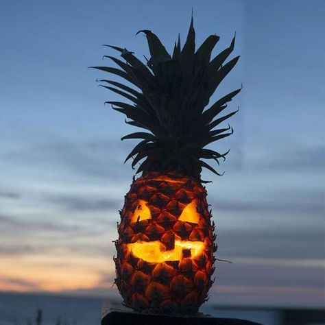 What to Carve Instead of the Traditional Pumpkin Beachfront Decor, Traditional Pumpkin, Halloween Lanterns, Halloween Event, Halloween Season, Autumn Inspiration, Beach Themes, Beach Decor, Jack O Lantern