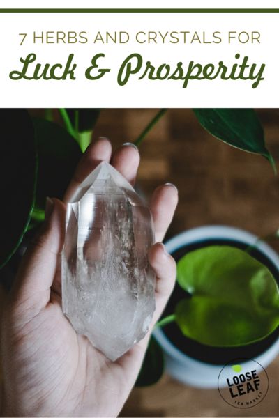 7 Herbs and Crystals for Luck and Prosperity Herbs For Luck And Money, Herbs For Luck, Wiccan Knowledge, Abundance Magic, Meditate With Crystals, Wicca Journal, Crystals For Luck, Learn How To Meditate, Herbs And Crystals