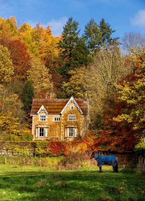 Autumn House Exterior, Cottage Autumn, Autumn Village, Life In The Countryside, Autumn House, Autumn Cottage, October Country, Yorkshire Uk, Cottage In The Woods