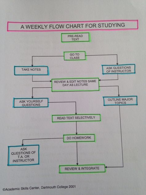 Weekly Flow Chart for Studying Flow Chart Ideas, Flow Chart Design, Flow Chart Template, Arts Ideas, Class 8, Study Material, Do Homework, Chart Design, Flow Chart