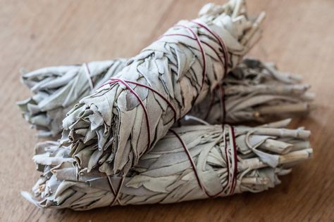 What Is the Purpose of Burning Sage? Sage And Crystals, Benefits Of Burning Sage, White Sage Smudging, Native American Herbs, Before Buying A House, Sage Burning, Protection Ritual, Sage Benefits, Sage Cleansing