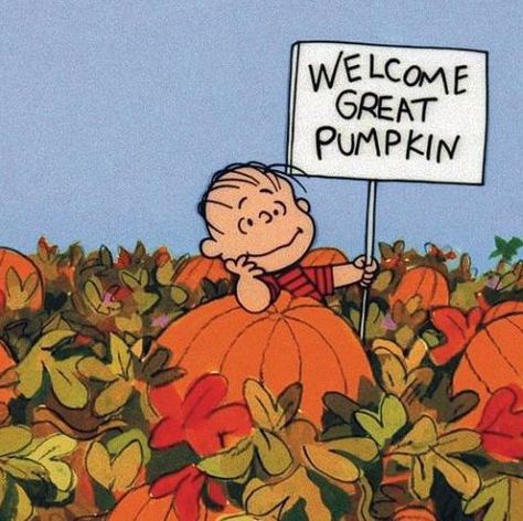 Because it's not fall without the great pumpkin. Welcome Great Pumpkin, The Great Pumpkin Charlie Brown, Great Pumpkin Charlie Brown, The Great Pumpkin, Great Pumpkin, Charlie Brown, Pumpkins, Halloween