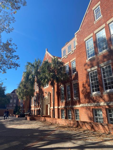 Uf College Aesthetic, Uf Aesthetic, Uf Campus, Fsu Vs Uf, Furman University, Uf Gators, College Essentials, College Aesthetic, Dream College