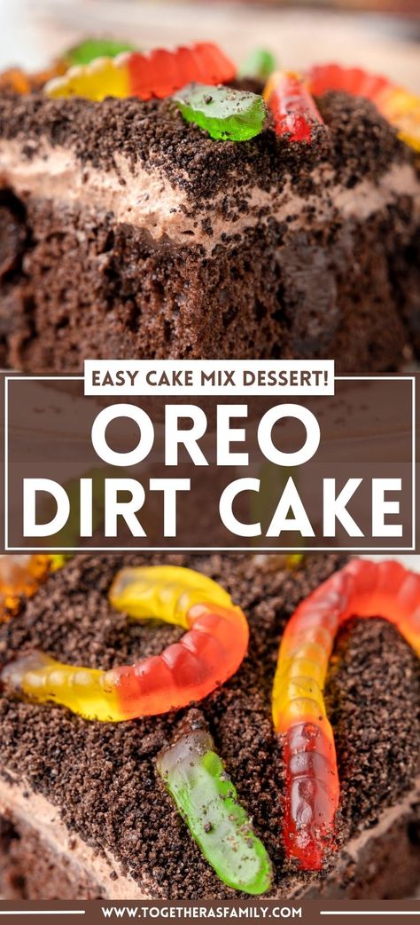 Mud Cake With Worms, Dirt Pudding Cupcakes, Pie, Dirt Cake Gummy Worms, Oreo Dirt Poke Cake, Smores Dirt Cake, Oreo Gummy Worms Dirt Dessert, Dirt Cup Birthday Cake, Dino Dirt Cake