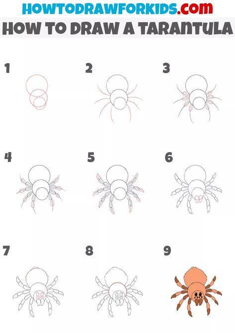 How to Draw a Tarantula - Easy Drawing Tutorial For Kids How To Draw A Tarantula, Insect Doodles, Tarantula Drawing, Easy Halloween Drawings, Cheetah Drawing, Hard Drawings, Drawing Ideas For Kids, Easy Animal Drawings, Drawing Superheroes