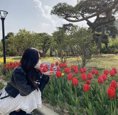 Carlsbad Flower Fields, Tulip Field, Tulip Season, Indian Paintbrush, Farm Photography, Girl D, Tulips Garden, Magic Garden, Tulip Fields