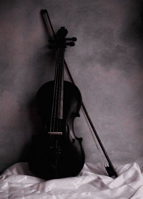 Violin Aesthetic, Violin Pics, Black Violin, Violin Art, Rich Women Lifestyle, Dark Acadamia, Instruments Art, Music Vibes, Street Punk