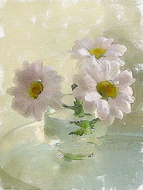 Three flowers | por piker77 Glowing Flowers, Three Flowers, Light Shadow, White Daisies, Watercolor Inspiration, Digital Watercolor, Arte Floral, Abstract Flowers, 그림 그리기