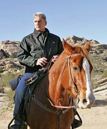 Mark Harmon, a celebrity and actor from NCIS, is pictured here on a trusty sorrel American Quarter Horse gelding. Mark Harmon Family, Ncis Gibbs Rules, Gibbs Ncis, Ncis Cast, Leroy Jethro Gibbs, Ncis New, Michael Weatherly, South By Southwest, Mark Harmon