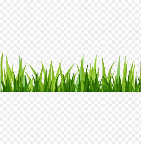 Rumput Png, Green Grass Png, Grass Images, Vector Grass, Grass With Flowers, Grass Png, Grass Clipart, Grass Vector, Grass Design