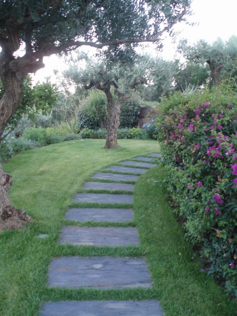 Backyard Raised Garden, Shed Landscaping, Greenhouse Farming, Pathway Landscaping, Front Walkway, Stone Walkway, Permanent Residence, Garden Greenhouse, Backyard Inspiration