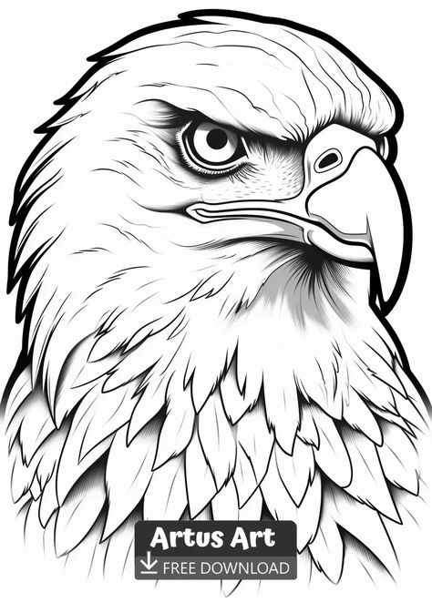 Awesome Bald eagle Coloring Page - Free PDF Download Coloring Page. Ignite your imagination with our collection of mesmerizing Awesome Bald eagle coloring pages. Dive into a world of endless possibilities and let your creativity run wild. #freedownload #awesomebaldeaglecoloringpage #awesomebaldeagle Eagles Drawing Easy, Eagle Art Draw, Bald Eagle Drawing, Eagle Coloring Pages, Eagle Sketch, Coloring Pages Adult, Eagle Drawing, Pencil Drawings Of Animals, Eagle Pictures