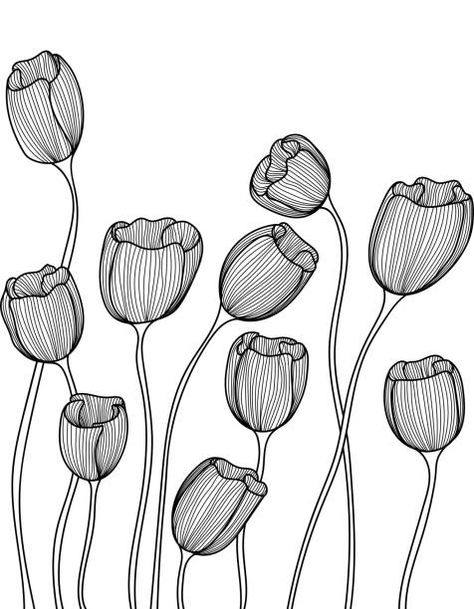 Flowers Outline, Doodle Flowers, Line Art Flowers, Doodle Art Flowers, Flower Outline, Flowers Illustration, Zentangle Drawings, 자수 디자인, Doodle Art Designs