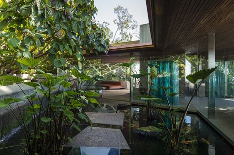 Sheats/Goldstein house | Los Angeles, California | Architect John Lautner | photo by Jeff Green Goldstein House, Small Tropical Gardens, Koi Pond Design, John Lautner, Rustic Backyard, Pond Design, Modern Style Homes, Labuan, Los Angeles Homes