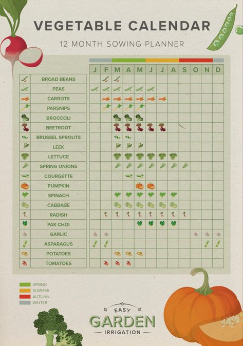 Vegetable Calendar, Vegetable Planting Calendar, Vegetable Planting Guide, Growing Calendar, Asparagus Plant, Vegetable Planting, Garden Party Recipes, Garden Bed Layout, Vegetable Garden Planner