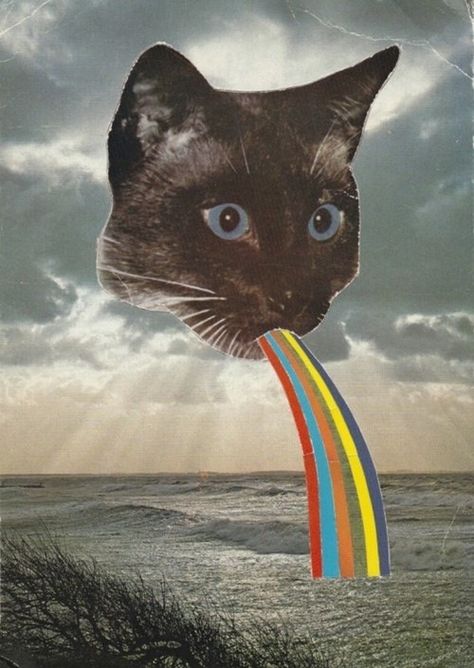 arco-íris :3 Cat Throwing Up, Trippy Cat, Nyan Cat, Rainbow Cat, Space Cat, Art Pop, Trippy Art, Surreal Art, Art Plastique