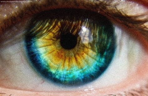 Central Heterochromia, or as I call them, peacock eyes. Mine are gold, bronze, green, dark blue and silver blue. Central Heterochromia, Heterochromia Eyes, Foto Macro, Blue Eye Color, Beautiful Eyes Color, Golden Eyes, Look Into My Eyes, Eye Photography, Human Eye