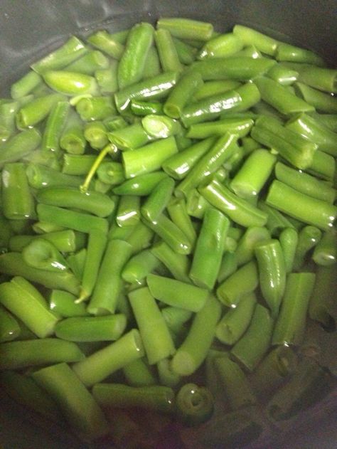 Indian Green Beans, Beans For Babies, Baby Food Homemade, Green Bean Baby Food, Boil Green Beans, Steamed Green Beans, Bush Beans, Baby Puree, Frozen Green Beans