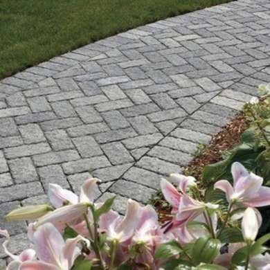 Paver Walkways To Front Door, Pavers Design, Paver Designs, Cement Patio, Walkway Landscaping, Brick Walkway, Patio Pavers, Paver Walkway, Front Walkway