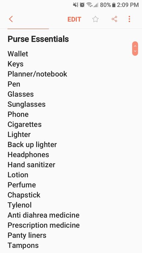 Purse Checklist Everyday, Airport Purse Essentials, Purse Essentials For Women, Must Haves For Purse, Bag Nessesities, Boyfriends House Essentials, What To Have In Purse, Daily Essentials Women, Work Bag Essentials List