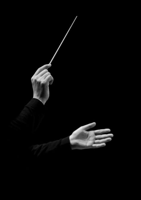 Conductor Baton, Band Conductor, Orchestra Director, Orchestra Conductor, Musician Portraits, Band Director, Cover Wattpad, Davinci Resolve, Video Tips