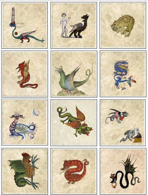 Midevil Dragons, Art Medieval, Medieval Monsters, Medieval Beasts, Medieval Dragon Drawing, Medieval Dragon Illustration, Medieval Animals Illustrations, Medieval Animal Paintings, Medieval Dragon