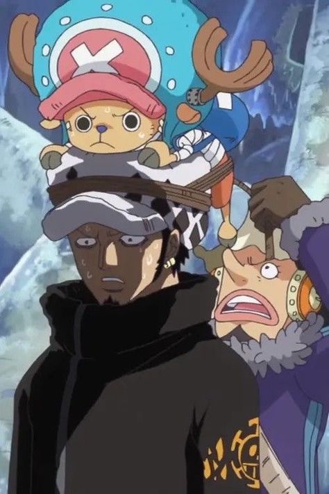 One Piece Chopper, One Piece Meme, One Piece Funny, Trafalgar Law, One Piece Images, One Piece Pictures, Manga Anime One Piece, One Piece Luffy, Fanarts Anime