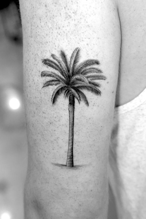 Fine Line Single Needle palm tree tattoo Florida Palm Tree Tattoo, Palm Tree Silhouette Tattoo, Detailed Palm Tree Tattoo, Realism Palm Tree Tattoo, Color Palm Tree Tattoo, Needle Palm Tree, Abstract Palm Tree Tattoo, Date Palm Tree Tattoo, Palm Tree Moon Tattoo