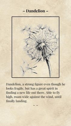 Dandelion Tattoo Meaning, Dandelion Quotes, Easy Drawing Step By Step, Dandelion Drawing, Beautiful Pencil Drawings, Animal Tattoo Ideas, Dandelion Art, Dandelion Tattoo, Easy Drawing Steps