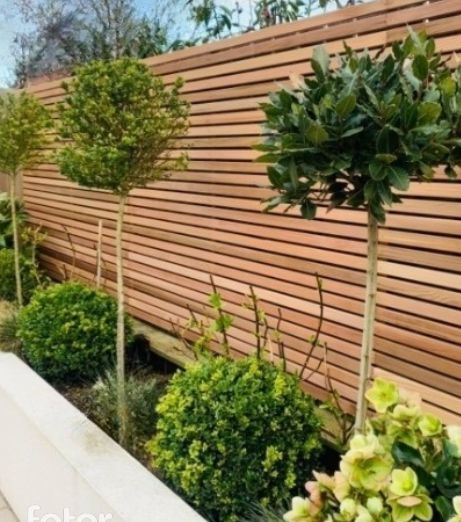 Garden Wall Wood Cladding, Garden Fencing Design, Courtyard Fencing Ideas, Slat Fencing Horizontal, Red Cedar Fence, Modern Slat Fence, Slatted Garden Fence, Modern Contemporary Garden, Horizontal Garden Fence