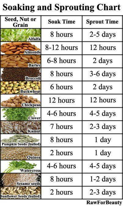 Chart - Activating Nuts Parrot Chop, Plantarea Legumelor, Tanaman Air, Growing Sprouts, Parrot Food, Sprouted Grains, Micro Greens, Food Chart, Growing Microgreens