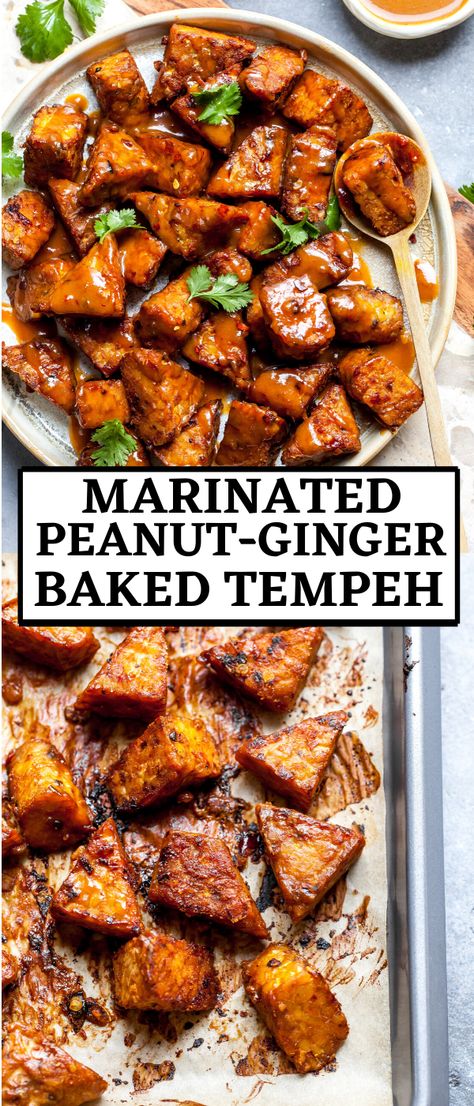 Asian Tempeh Recipes, Marinated Tempeh Recipes, Tempeh Meal Prep, Vegan Ginger Recipes, Tempeh Marinade Recipes, Baked Tempeh Recipes, Tempeh Meals, Tempeh Noodles, Vegetarian Proteins