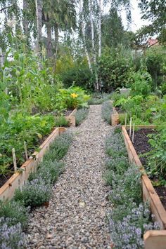 Edging Plants, Vertical Vegetable Garden, Potager Garden, Cottage Garden Design, Garden Types, Veg Garden, Vegetable Garden Design, Garden Layout, Veggie Garden