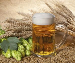 The ancient origins of beer #beer #beereducation Beer Wallpaper, Beer History, Beer Ingredients, Beer Pictures, Homemade Beer, Cocoa Beans, Malted Barley, Beer Recipes, Craft Brewery