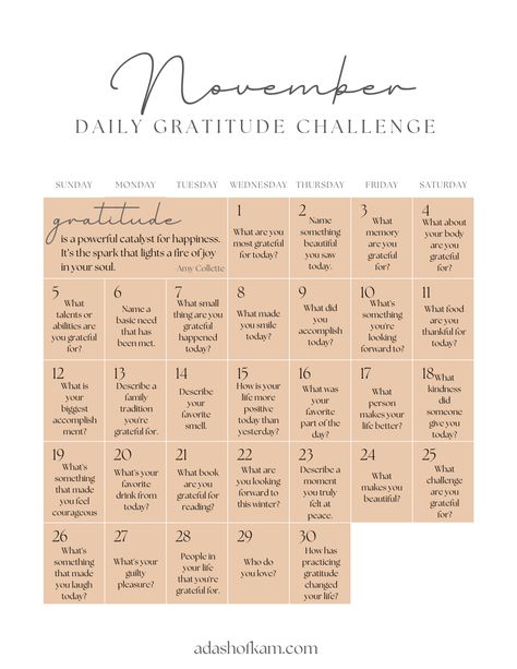 November Gratitude Challenge | Change Your Life - A Dash of Kam November Gratitude Challenge, Thankful November, Journal Prompts Gratitude, Journal Prompts For Adults, Gratitude Changes Everything, Thanksgiving Post, Journal Prompts For Kids, November Challenge, Gratitude Prompts